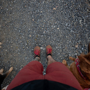 Danner Trail 2650 Style 61272
