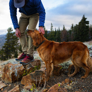 Danner Trail 2650 Style 61272